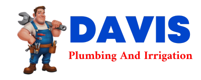 Trusted plumber in DOLORES